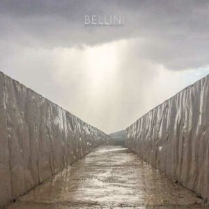 Bellini Before The Day Has Gone Vinyl